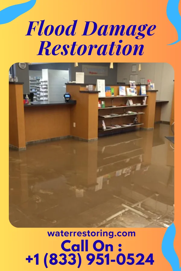 Flood Damage Restoration in Stanton, TN