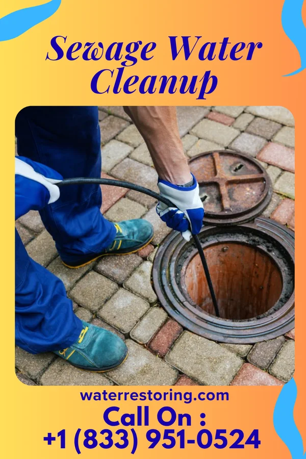 Sewage Water Cleanup in Stanton, TN
