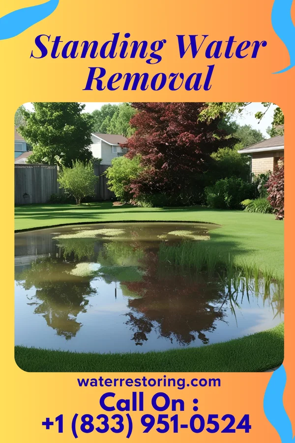 Standing Water Removal in Stanton, TN